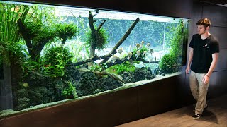 Private Tour of WORLDS BEST Planted AQUARIUM [upl. by Felicidad64]