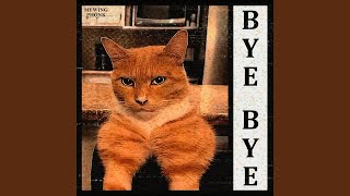 Bye Bye  Mewing Phonk [upl. by Bronwen]