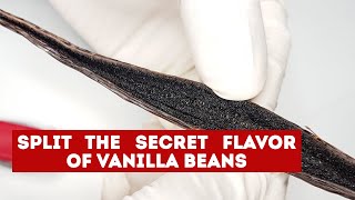 How to Make Vanilla Syrup for Coffee and customize it [upl. by Durwyn722]