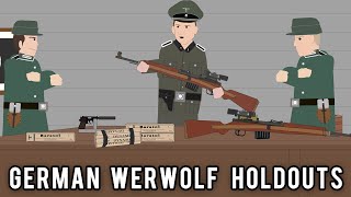 How did the Germans keep fighting the Allies after WW2 [upl. by Trebleht366]