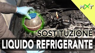 SOSTITUZIONE LIQUIDO REFRIGERANTE AUTO  Fai da Te [upl. by Evyn]