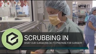 Scrubbing in How Veterinary Surgeons Scrub In For Each Surgery [upl. by Simdars]