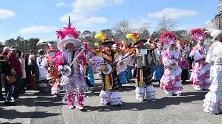 Philadelphia Mummers String Bands Perform at Mummers Mardi Gras [upl. by Adnaval300]