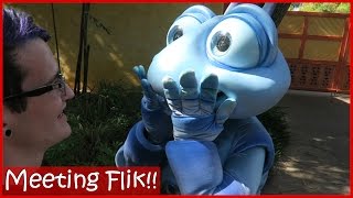 MEETING FLIK  A Bugs Life  Animal Kingdom  Walt Disney World [upl. by Nwahser]