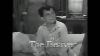 quotLeave it to Beaverquot US TV series 195763 one of the leadin  intros [upl. by Franciskus]