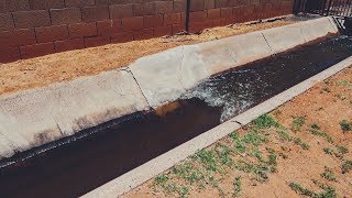 Flood Irrigation Day  amp how this watering method works [upl. by Nsaj]