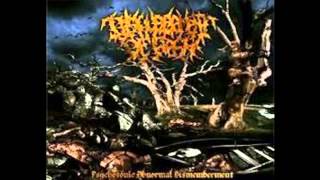 DISFIGUREMENT OF FLESH  Psychotonic Abnormal Dismemberment [upl. by Ecnerolf]