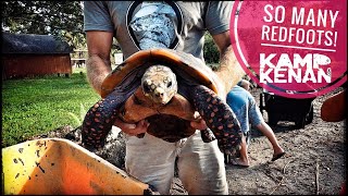 Redfoot Tortoise Habitat Tutorial [upl. by Trebma]