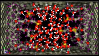 Nafion membrane Quantum molecular dynamics to watch in best quality choose HD 1440p [upl. by Oderfigis]