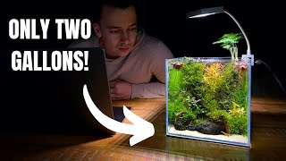 I Made a Mini DESK AQUARIUM Without a Filter Aquascape Tutorial [upl. by Nit]