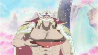 Whitebeard amp Gol D Roger Last Meeting English Dubbed [upl. by Reivad254]