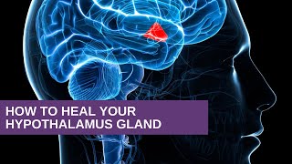 How to Heal Your Hypothalamus Gland [upl. by Vargas]