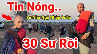 181 Tin Nóng Sư Như Ngộ Nhập Đoàn 30 Sư Sẽ Bộ Hành Trên Đất Thái Lan Gấp Rút 10 Ngày Đếm Ngược [upl. by Cj687]