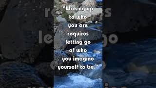 Uplifting and inspiring Alan Watts quote for Life and Love Introspection Who Are You [upl. by Ihcego]