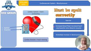 GCSE PE Cardiovascular System Revision [upl. by Havener841]