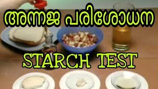 ഭക്ഷ്യവസ്തുക്കളിലെ അന്നജ പരിശോധന  Starch test in food  Science Malayalam  Science experiment [upl. by Yekcim]