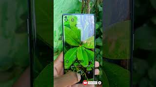 oppo Reno 6 pro camera test High quality camera review best natural camera mobilephonereview 2024 [upl. by Alberta]