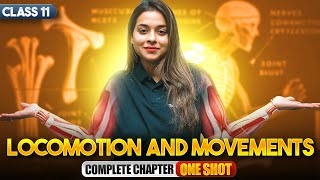 Locomotion and Movement Class 11 One Shot  NCERT Biology Full Chapter Explanation  CBSE 202425 [upl. by Amhser825]