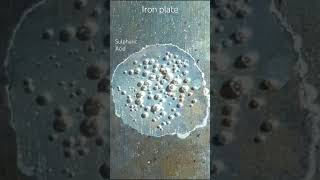 Sulphuric Acid vs Iron [upl. by Emyaj]