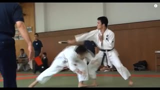 The Kito Ryu roots of Tomiki Aikido [upl. by Wordoow461]