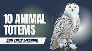 10 Animal Totems and Their Meaning [upl. by Aloisia]