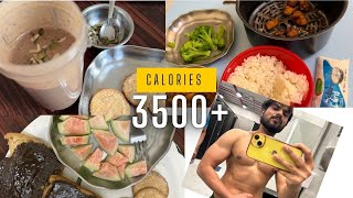 I Ate 3500 calories Each Day for a Week💪  gym  bulk  gymdiet  BodyDignity [upl. by Ela]