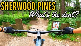 Sherwood Pines Kitchener Mountain Bike Trail [upl. by Yedok271]