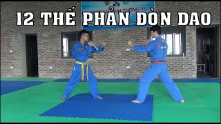 Vovinam  12 THẾ PHẢN ĐÒN DAO HOÀNG ĐAI hướng dẫn Vovinam 12 defense against knife attack tutorial [upl. by Idou]