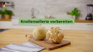 Knollensellerie vorbereiten [upl. by Essinger]