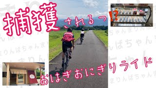 【ロードバイク】伊豆大上のおはぎを食べに捕獲される🕸🚴‍♂️💨 [upl. by Aihtenak]