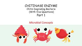 About Chitinase enzyme Part 1  Chitin degrading bacteria  MSc Microbiology practical series [upl. by Pauwles]