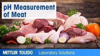 pH Measurement of Meat  Application Video [upl. by Ardnos]