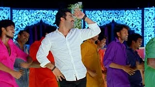 Rabhasa Movie Dam Damare Video Song  JrNtr Samantha Pranitha [upl. by Druci824]