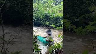 Catching Stream Fish in the Forest – Amazing Fishing Techniques and Rural Life Adventures [upl. by Nhojleahcim9]