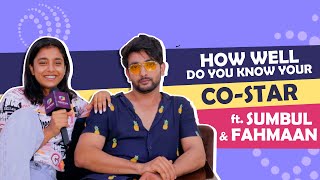 How Well Do You Know Each Other Ft Fahmaan Khan amp Sumbul Touqeer [upl. by Nibaj561]