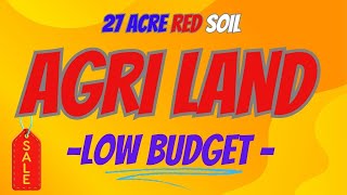 Rs4750Cent Low price Agriculture land for sale in Tamil Nadu Farmland Low Budget [upl. by Stich]