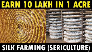 Silk Farming Sericulture  How Silk is made from Silkworm [upl. by Byler265]