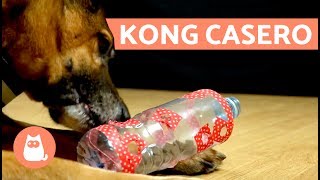 Cómo hacer un KONG casero  Juguetes para perros [upl. by Immas894]