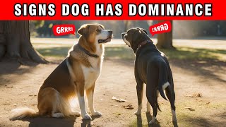 15 Signs Your Dog Has Dominance Issues That You Cant Ignore [upl. by Bear]