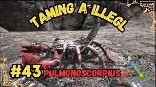 Taming A Illegal Pulmonoscorpius ARK MOBILESEASON 2PART 43 [upl. by Ragas]