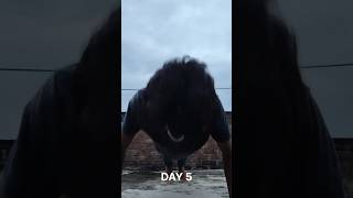 DAY 5  75 hard challenge minivlog viralvideo shorts [upl. by Stelle271]