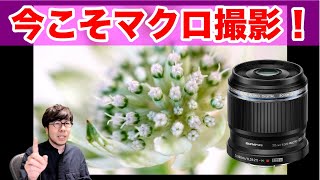 今こそ室内でマクロ撮影！オリンパスのお手頃マクロレンズ「M ZUIKO DIGITAL ED 30mm F3 5 Macro」レビュー [upl. by Sapers800]