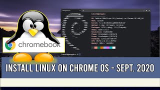 Installing Linux on Chrome OS  Sept 2020 [upl. by Pretrice]