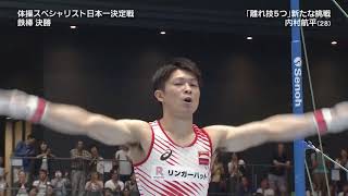 Kohei Uchimura 2017 All Japan High Bar Final [upl. by Doolittle]