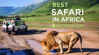 Travel in 2021 Safari in Tanzania Ngorongoro [upl. by Aztirak]