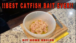 Best Catfish Bait EVER [upl. by Brendan]