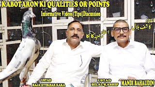 Ustad Kashif BilalKabotaron Ki Qualities or PointsUstad Raja Iftikhar KaKaSHOUQ DUBAIInfoTips [upl. by Justinn]