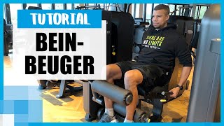 Beinbeuger im Sitzen Tipps amp Tricks für die Leg CurlMaschine [upl. by Akenom]