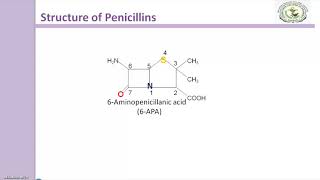 Penicillin Basic Structure [upl. by Tilly]