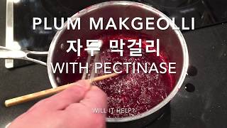 Plum makgeolli 2 pectinase 자두 막걸리 homebrew Korean rice wine [upl. by Fokos]